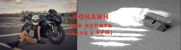 трава Гусев