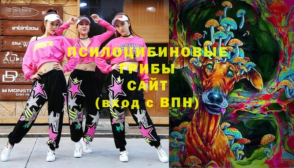 кокаин Гусь-Хрустальный