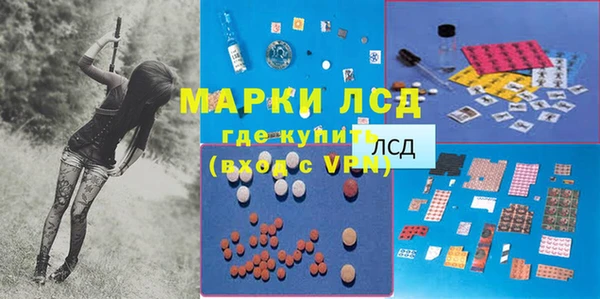 трава Гусев