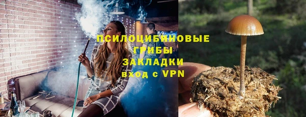 трава Гусев
