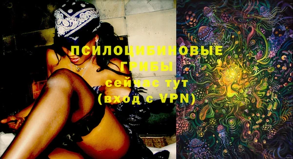 трава Гусев