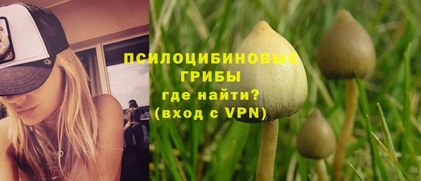 хмурый Гусиноозёрск
