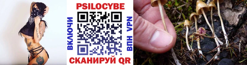 Купить  Курганинск  Галлюциногенные грибы GOLDEN TEACHER 