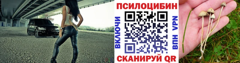 Галлюциногенные грибы мухоморы Курганинск